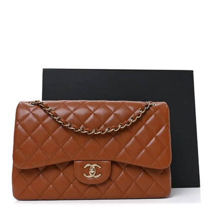 Chanel Jumbo Double Flap Bag in Brown Caviar Leather
