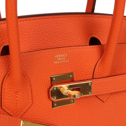Elegant orange leather handbag with gold hardware and timeless, sophisticated design.
