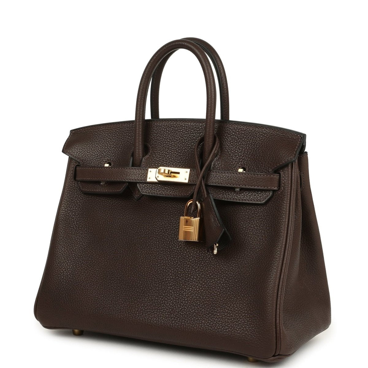 Hermes Birkin 25 Handbag Ebene Barenia Faubourg Gold Hardware - NEESTRA