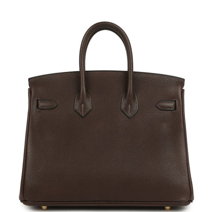 Hermes Birkin 25 Handbag Ebene Barenia Faubourg Gold Hardware - NEESTRA