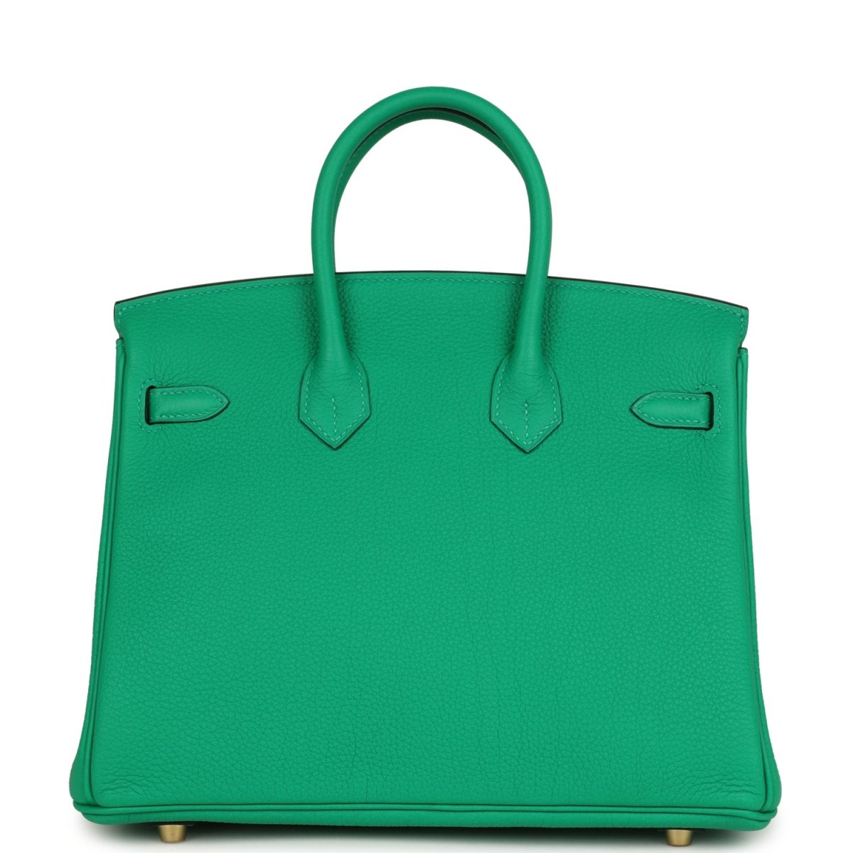 Hermes Birkin 25 Handbag Menthe Togo Gold Hardware - NEESTRA
