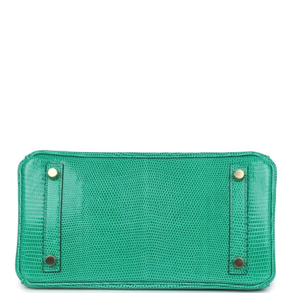 Hermes Birkin 25 Handbag Menthe Varanus Niloticus Lizard Gold Hardware - NEESTRA