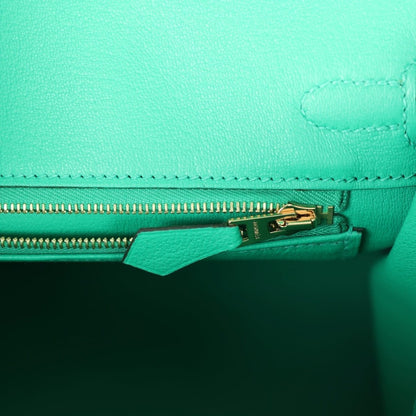 Hermes Birkin 25 Handbag Menthe Varanus Niloticus Lizard Gold Hardware - NEESTRA