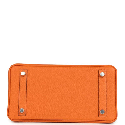 Hermes Birkin 25 Handbag Orange Minium Togo Leather Palladium Hardware - NEESTRA