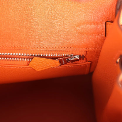 Hermes Birkin 25 Handbag Orange Minium Togo Leather Palladium Hardware - NEESTRA