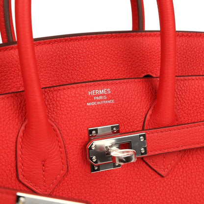 Hermes Birkin 25 Handbag Rouge de Coeur Togo Palladium Hardware - NEESTRA