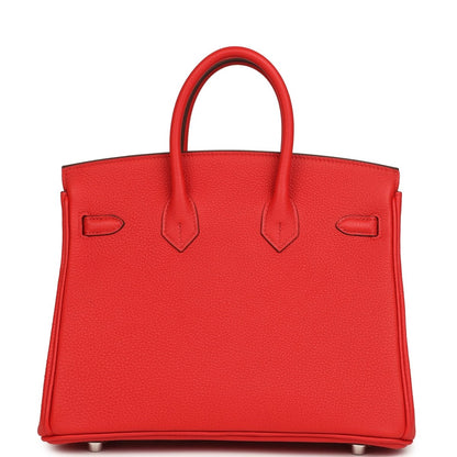 Hermes Birkin 25 Handbag Rouge de Coeur Togo Palladium Hardware - NEESTRA