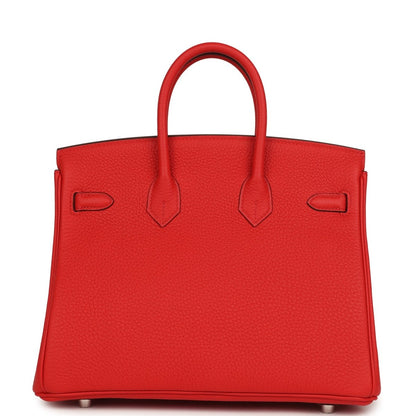 Hermes Birkin 25 Handbag Togo Leather Rouge Radieux Palladium Hardware - NEESTRA