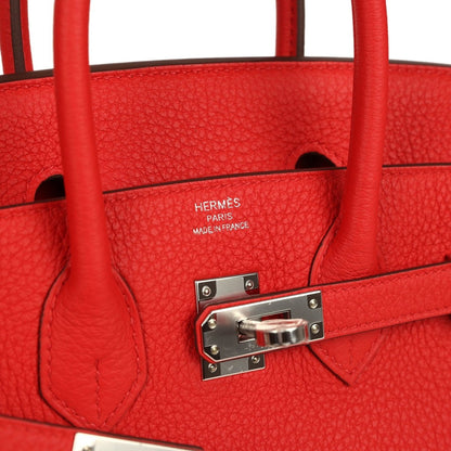 Hermes Birkin 25 Handbag Togo Leather Rouge Radieux Palladium Hardware - NEESTRA