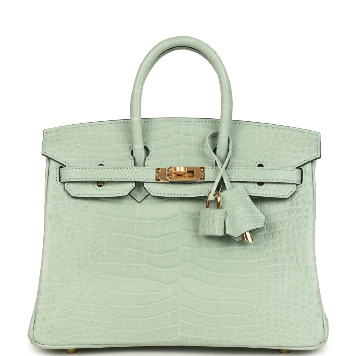 Hermes Birkin 25 Handbag Vert D'Eau Matte Porosus Crocodile Gold - NEESTRA