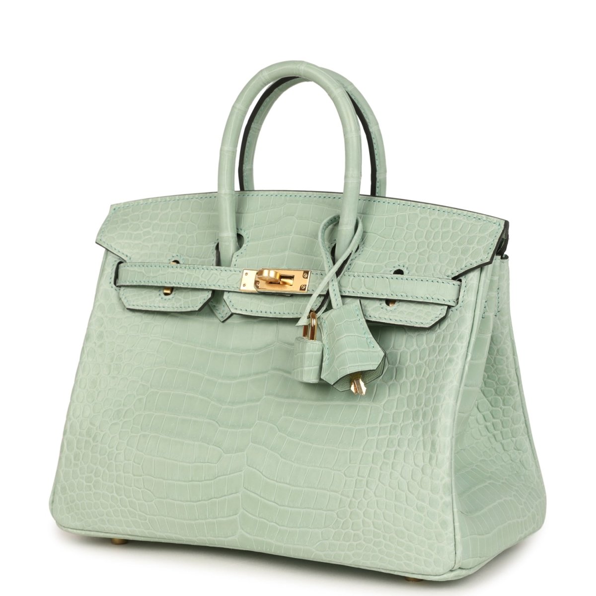 Hermes Birkin 25 Handbag Vert D'Eau Matte Porosus Crocodile Gold - NEESTRA
