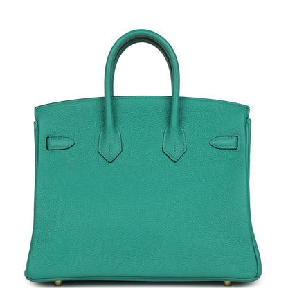 Hermes Birkin 25 Handbag Vert Verone Togo Gold Hardware - NEESTRA