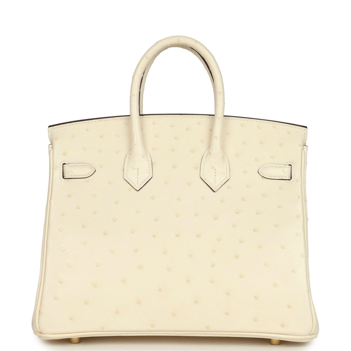 Hermes Birkin 25 Nata Ostrich Handbag Gold Hardware - NEESTRA