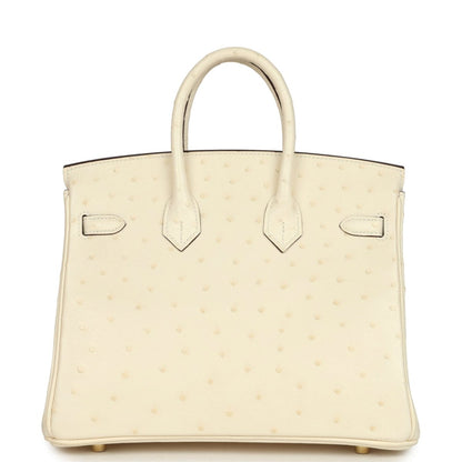 Hermes Birkin 25 Nata Ostrich Handbag Gold Hardware - NEESTRA