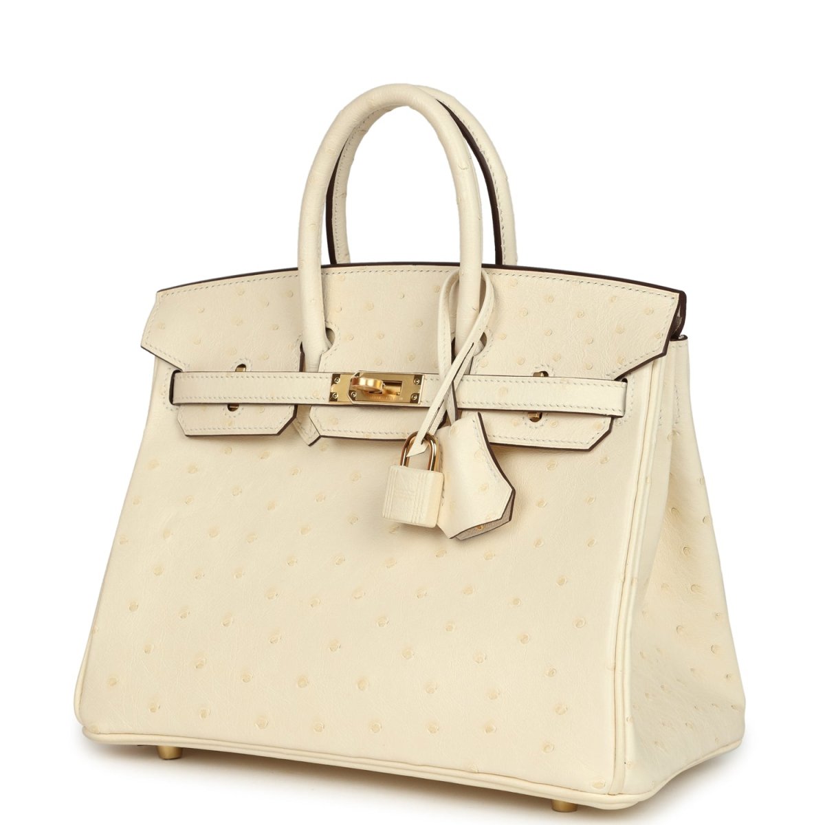 Hermes Birkin 25 Nata Ostrich Handbag Gold Hardware - NEESTRA