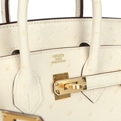 Hermes Birkin 25 Nata Ostrich Handbag Gold Hardware - NEESTRA