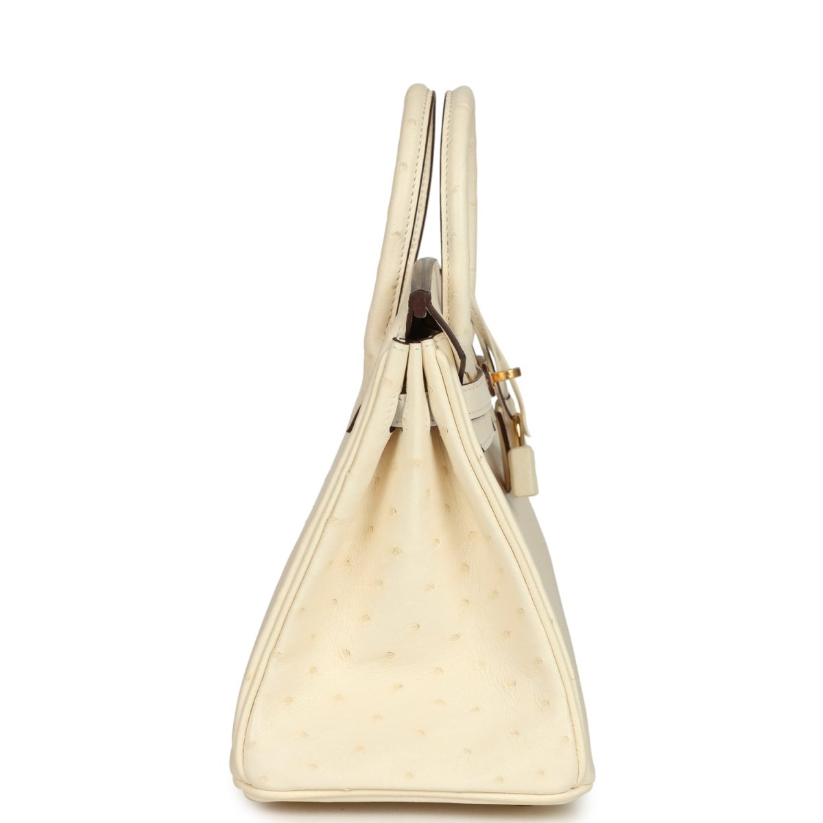 Hermes Birkin 25 Nata Ostrich Handbag Gold Hardware - NEESTRA