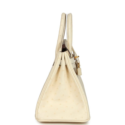 Hermes Birkin 25 Nata Ostrich Handbag Gold Hardware - NEESTRA