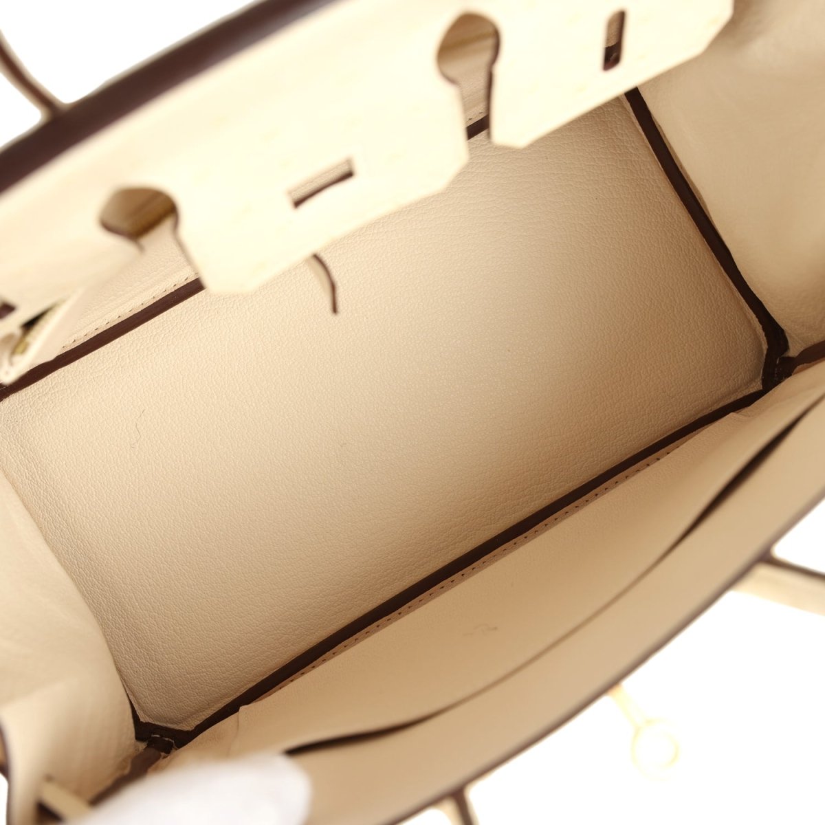 Hermes Birkin 25 Nata Ostrich Handbag Gold Hardware - NEESTRA