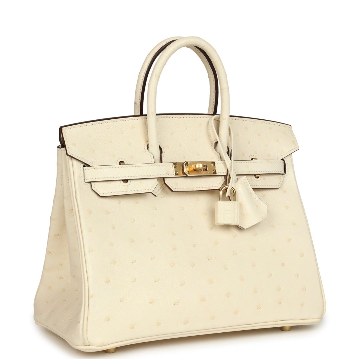 Hermes Birkin 25 Nata Ostrich Handbag Gold Hardware - NEESTRA