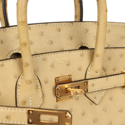 Hermes Birkin 25 Trench Ostrich Leather Handbag Gold Hardware - NEESTRA