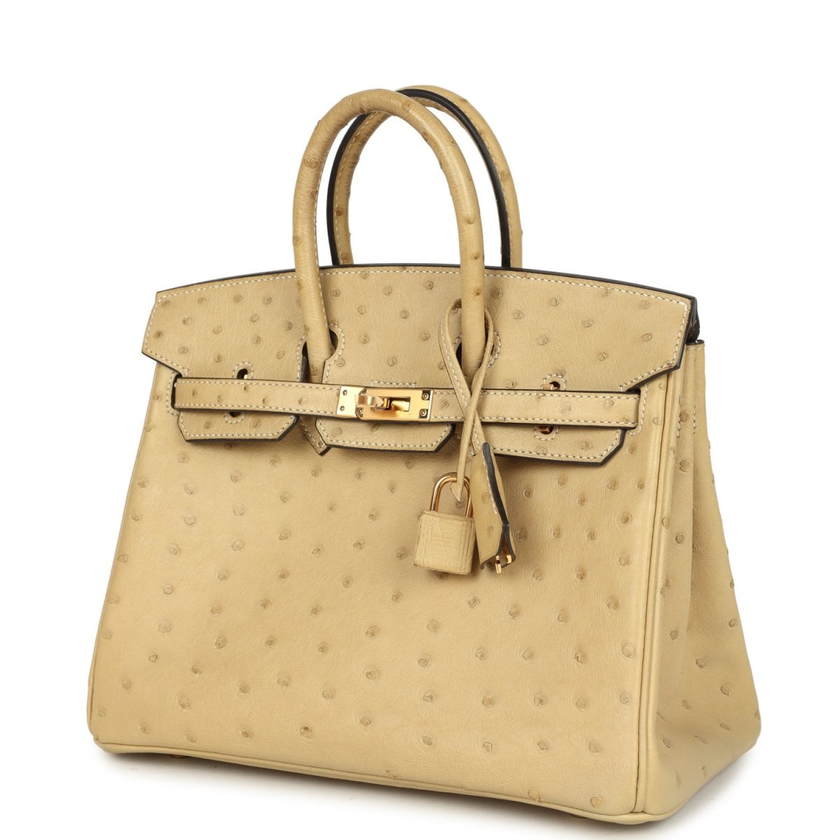 Hermes Birkin 25 Trench Ostrich Leather Handbag Gold Hardware - NEESTRA