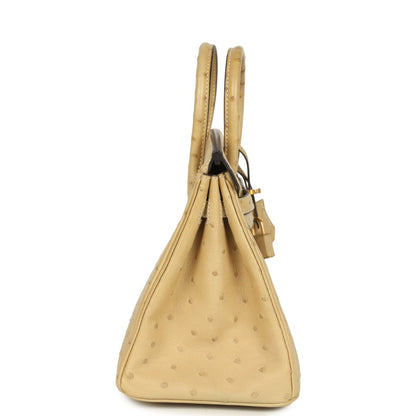 Hermes Birkin 25 Trench Ostrich Leather Handbag Gold Hardware - NEESTRA