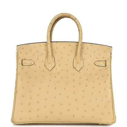 Hermes Birkin 25 Trench Ostrich Leather Handbag Gold Hardware - NEESTRA