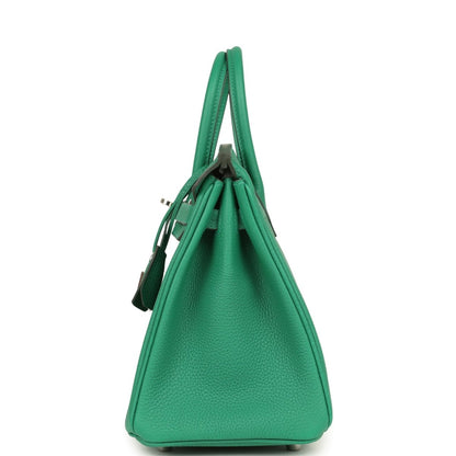 Hermes Birkin 25 Vert Vertigo Togo Leather Palladium Hardware - NEESTRA